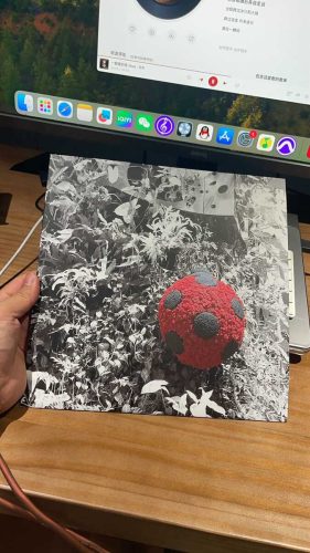 Custom Vinyl Album photo review